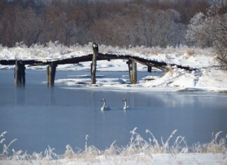 Ile wymiana przewodu hamulcowego?