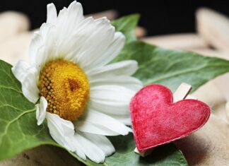 Z czego składa się zacisk hamulcowy?