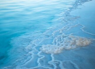 Co zwiększa zasolenie wody?