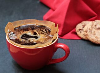 Kiedy włączyć filtr w akwarium?