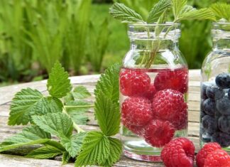 Co lepsze saletra czy peklosól?