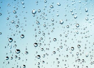 Czy można wędzić mokrym drewnem?