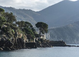 Ile kosztuje miechunka?